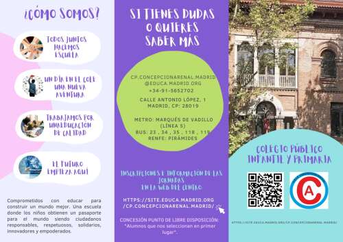 Foto Colegio Concepción Arenal #2