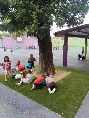 Foto Colegio Concepción Arenal #2