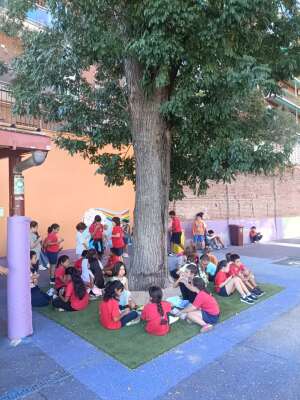 Foto Colegio Concepción Arenal #2