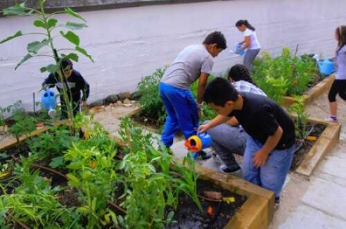 Foto Colegio Concepción Arenal #2
