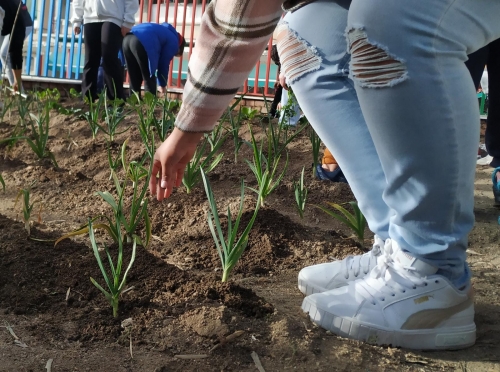 Foto Colegio Real Armada #3