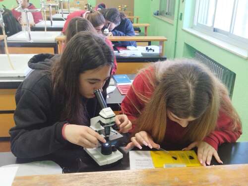 Foto Colegio Corazón Inmaculado #3