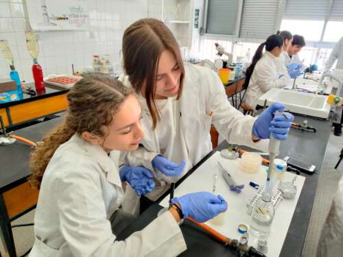 Foto Colegio Corazón De María #3