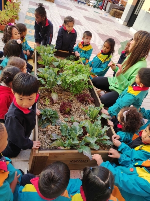 Foto Colegio Trilema Avenida América #2