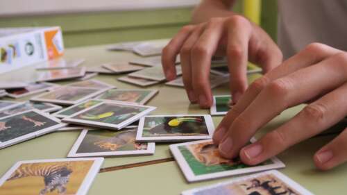 Foto Colegio SEI La Merced #2
