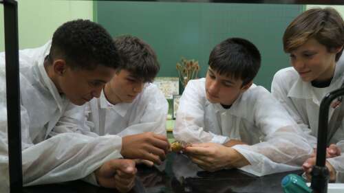 Foto Colegio SEI La Merced #2