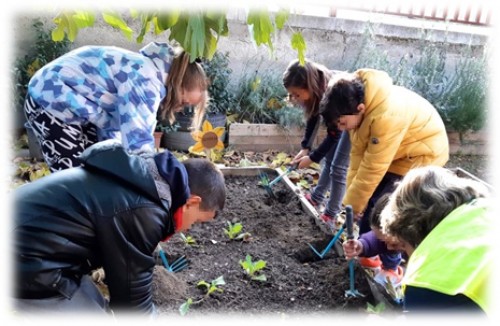 Foto CEIP AMADEO VIVES #3