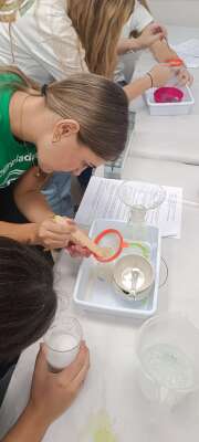 Foto Centro de Bachillerato Díaz Balaguer #2