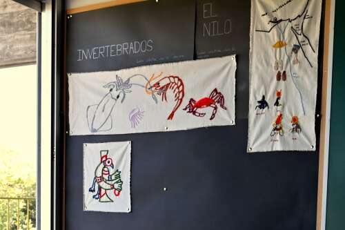 Foto Colegio Estudio Valdemarín #2