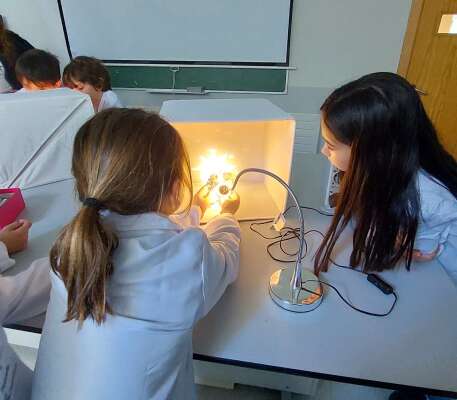 Foto Colegio Estudio Valdemarín #2