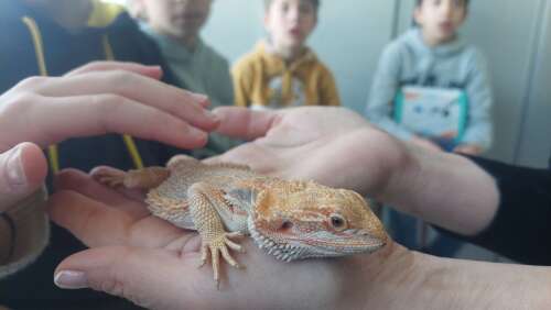 Foto Colegio Estudio Valdemarín #2