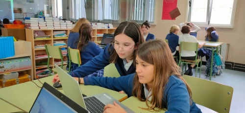 Foto Colegio FEC-Santa Joaquina de Vedruna #2