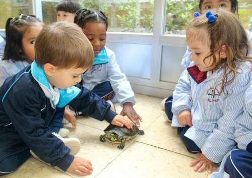 Foto Colegio La Anunciata #3