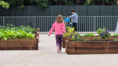 Foto Colegio Estudio Conde Orgaz #2