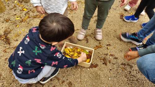 Foto Colegio Estudio Conde Orgaz #2