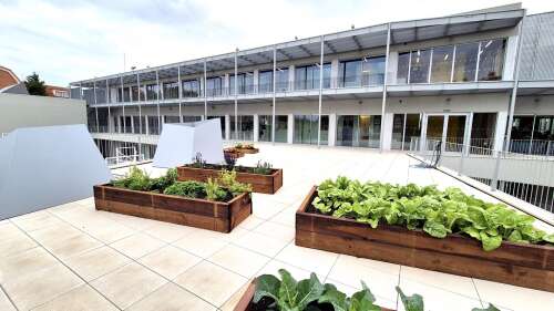 Foto Colegio Estudio Conde Orgaz #2