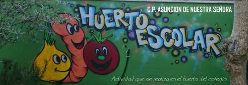 Foto Colegio Asunción De Nuestra Señora #3