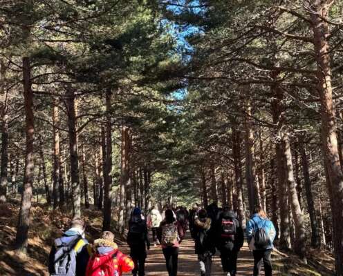 Foto Instituto Gerardo Diego #2