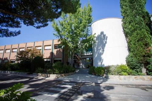 Foto Colegio Liceo Sorolla #2