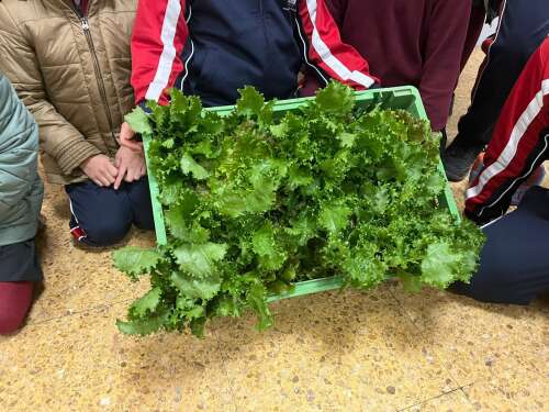 Foto Colegio Nuestra Señora De La Fuencisla #1