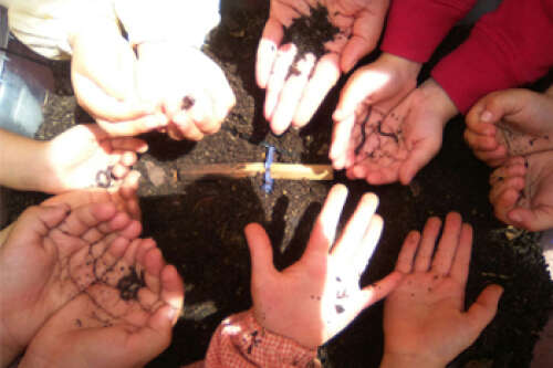 Foto Colegio Luis Feito #0