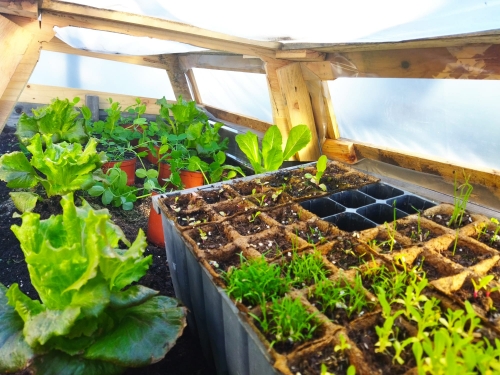 Foto Colegio Los Peñascales #3