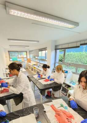 Foto Colegio Numont School (Británico) #3