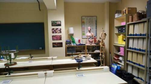 Foto Instituto Fortuny #3