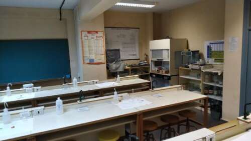 Foto Instituto Fortuny #3