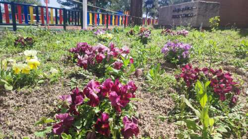 Foto Colegio Pradolongo #2