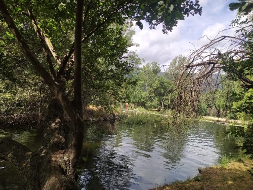 Foto Instituto Isaac Albéniz #2