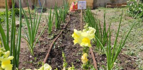 Foto Colegio Andrés Segovia #3