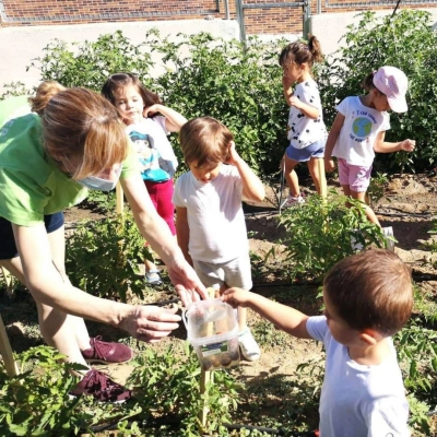 Photo Colegio VILLALKOR #2