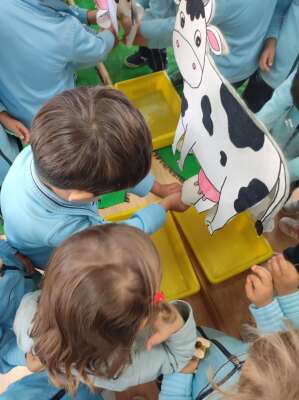 Foto Colegio Zola Las Rozas #2