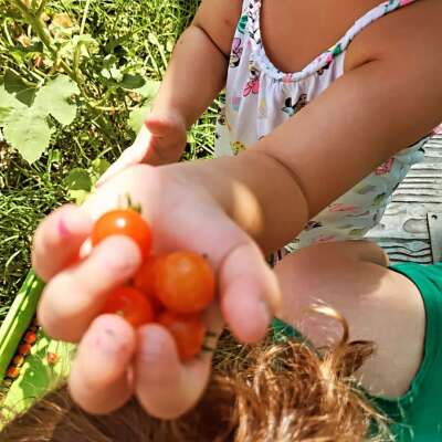 Foto Llar d'infants San Fermín #3