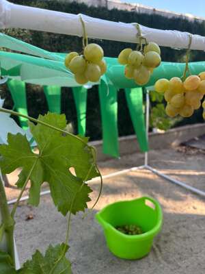 Foto Escuela Infantil Little Duck #3