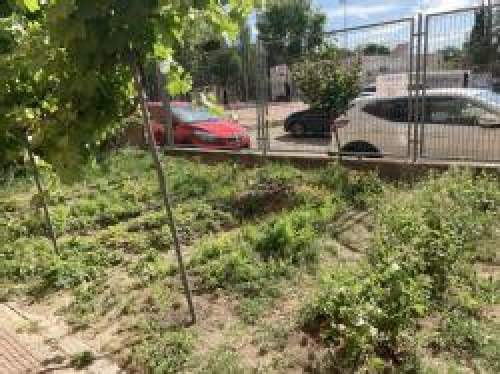 Foto Colegio Pablo Sorozabal #3