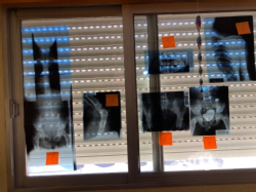 Foto Colegio Pablo Sorozabal #3