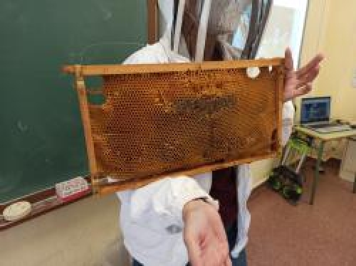 Foto Colegio Pablo Sorozabal #3