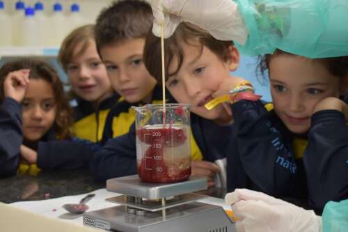 Foto Colegio Internacional Santo Tomás De Aquino #3