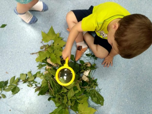 Foto Escuela Infantil Lagartijas #2