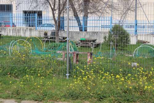 Foto Colegio Julián Marías #3