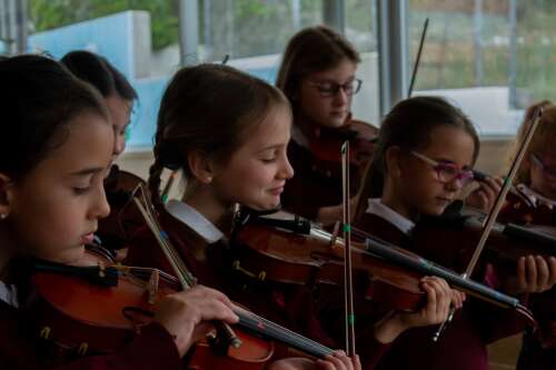 Photo Colegio Fuenllana #2