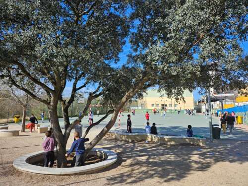 Foto CEIPSO Mario Vargas Llosa #1