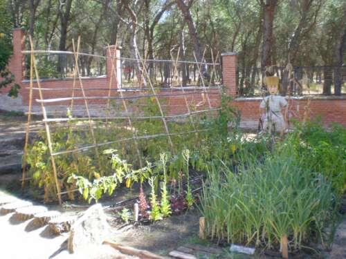 Foto Instituto Colegio San Francisco #1