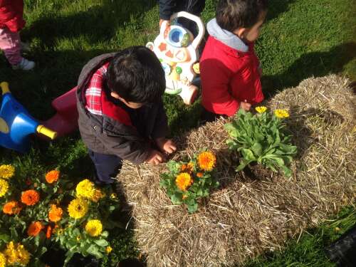 Foto Escuela Infantil Los Tajetes Workandlife (Hoyo Manzanares) #2