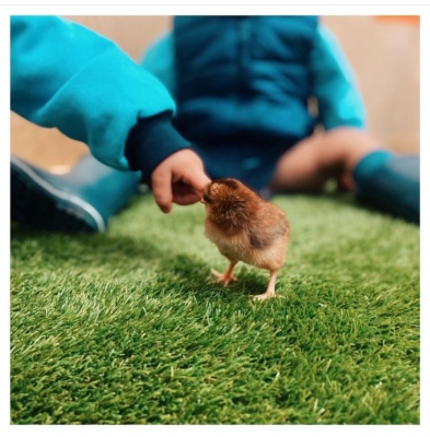 Foto Escuela Infantil VIB Montemar #0