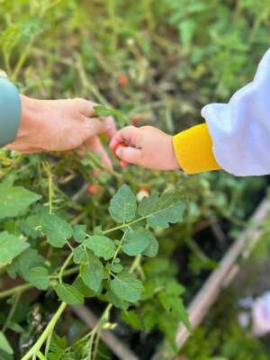 Foto Escuela Infantil Balloons #2