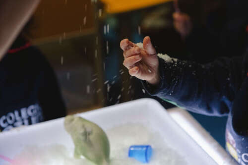 Foto Colegio Gaudem #3