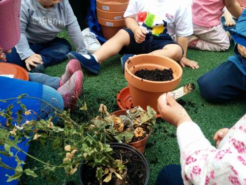 Foto Escuela Infantil Escuela Infantil Montessori Boadilla #2
